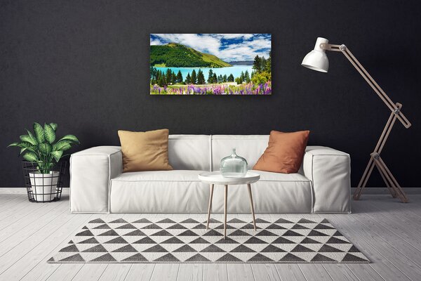 Obraz Canvas Hora les jazero príroda 100x50 cm