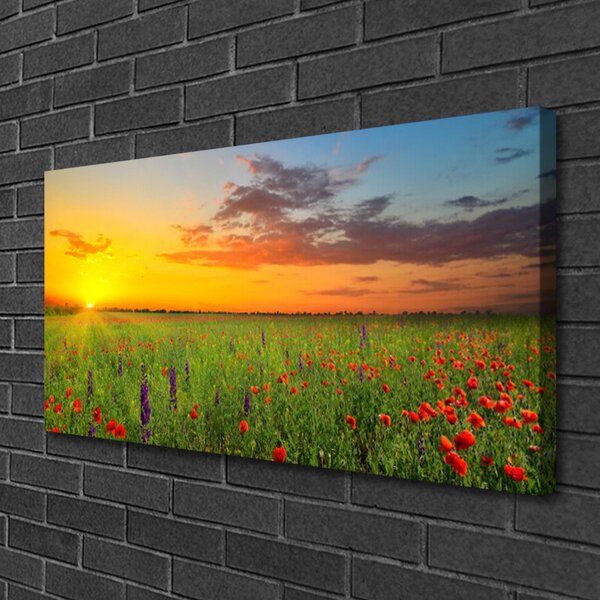 Obraz Canvas Slnko lúka kvety príroda 100x50 cm