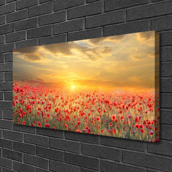 Obraz Canvas Slnko lúka mak kvety 100x50 cm