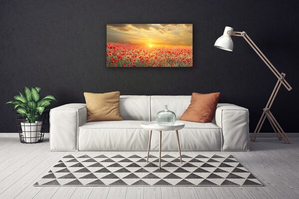 Obraz Canvas Slnko lúka mak kvety 100x50 cm