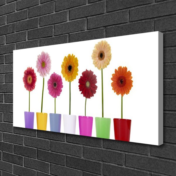 Obraz Canvas Kvety rastlina príroda 100x50 cm