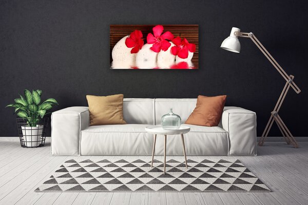 Obraz na plátne Kvet kamene rastlina 100x50 cm