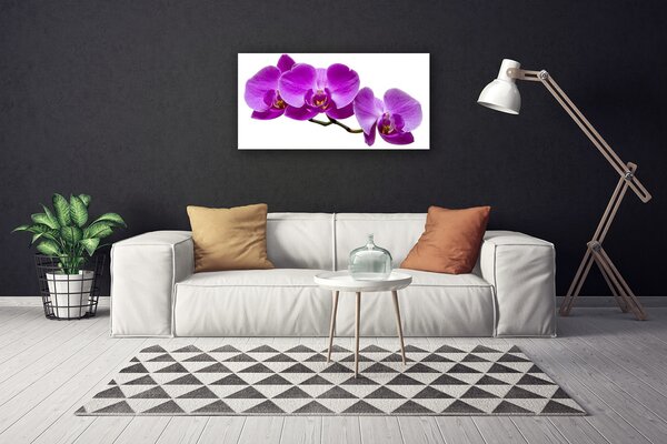 Obraz Canvas Kvety rastlina príroda 100x50 cm