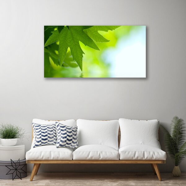 Obraz na plátne Listy príroda rastlina 100x50 cm