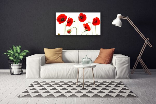 Obraz na plátne Maky rastlina príroda 100x50 cm