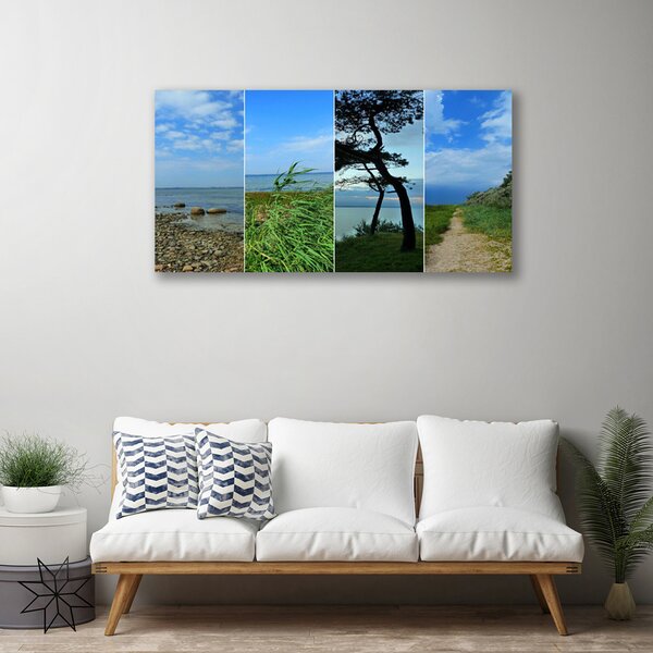 Obraz na plátne Pláž strom príroda 100x50 cm