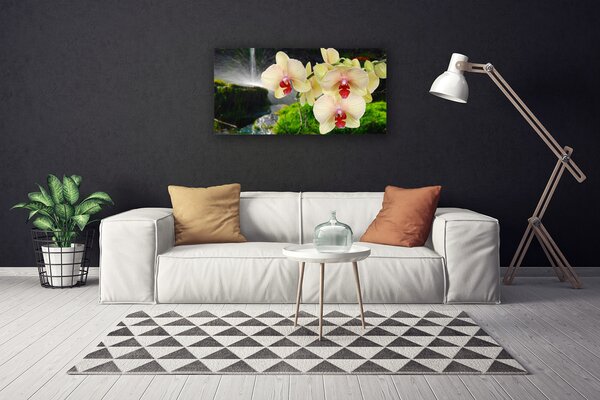 Obraz na plátne Stromy príroda rastlina 100x50 cm