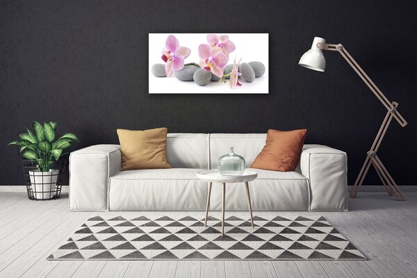 Obraz na plátne Strom kamene rastlina 100x50 cm
