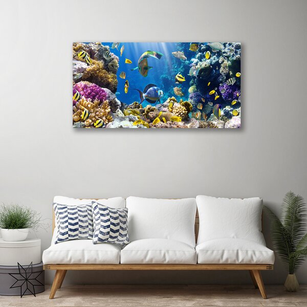 Obraz na plátne Koralový útes príroda 100x50 cm