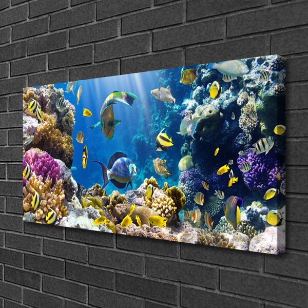 Obraz na plátne Koralový útes príroda 100x50 cm