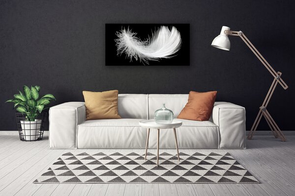 Obraz na plátne Pírko umenie 100x50 cm