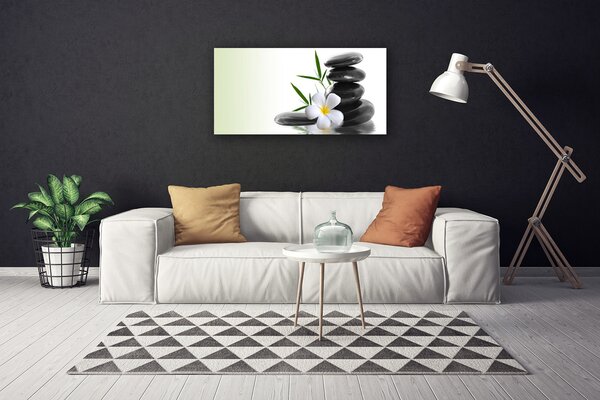 Obraz na plátne Kvet kamene umenie 100x50 cm