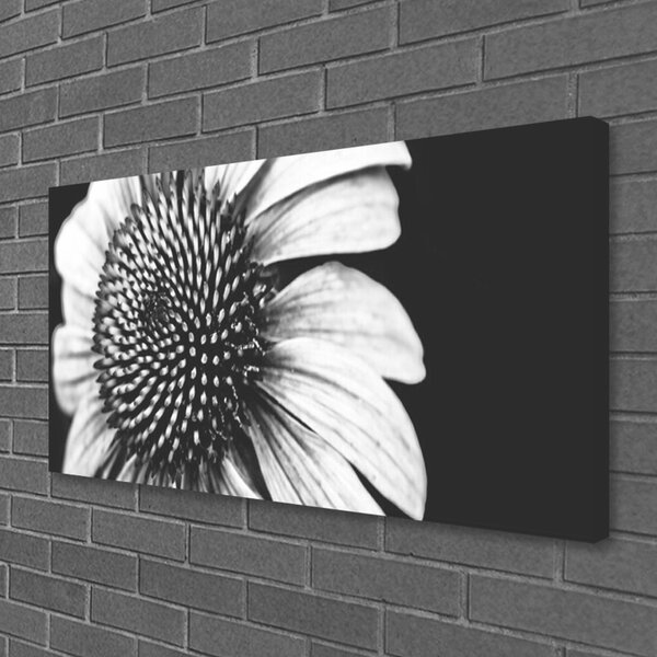 Obraz na plátne Kvet rastlina príroda 100x50 cm