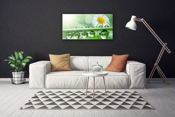 Obraz na plátne Rosa list sedmokrásky príroda 100x50 cm