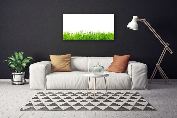 Obraz na plátne Tráva príroda rastlina 100x50 cm