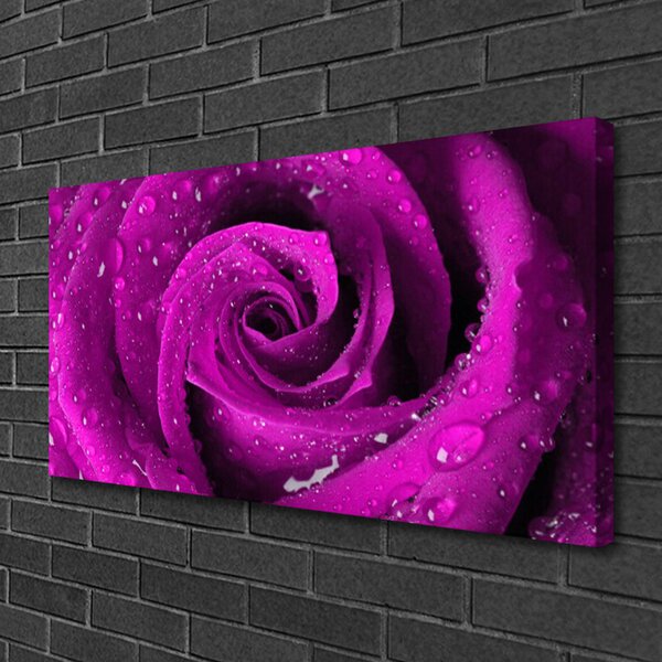 Obraz na plátne Ruže kvet rastlina 100x50 cm