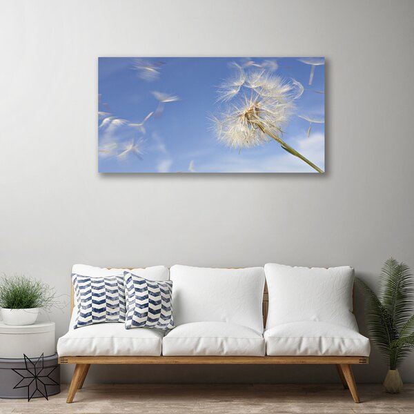Obraz na plátne Púpava rastlina 100x50 cm