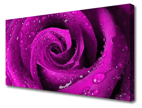Obraz na plátne Ruže kvet rastlina 125x50 cm