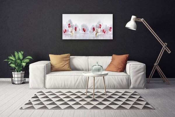 Obraz na plátne Kvety rastlina príroda 100x50 cm