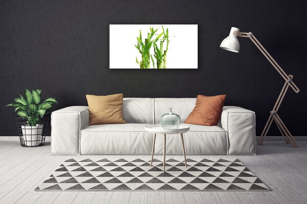 Obraz na plátne Bambus stonka kvet rastlina 100x50 cm
