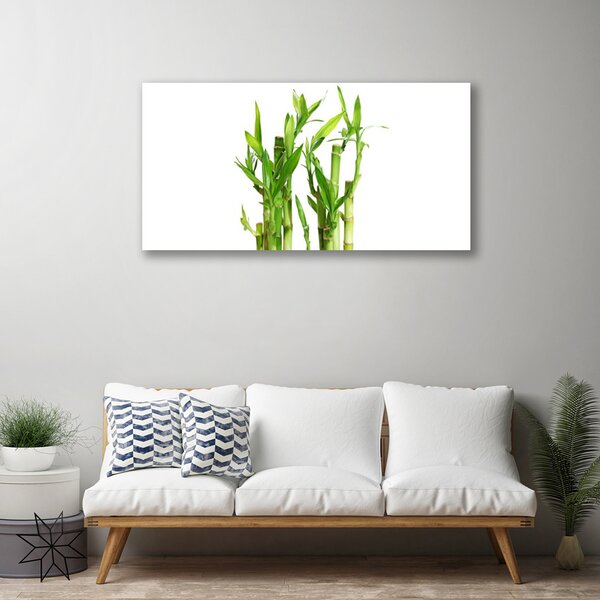 Obraz na plátne Bambus stonka kvet rastlina 100x50 cm