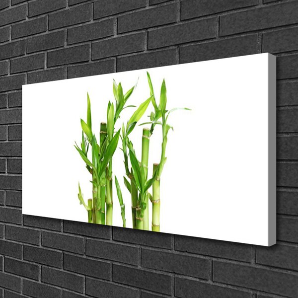 Obraz na plátne Bambus stonka kvet rastlina 100x50 cm