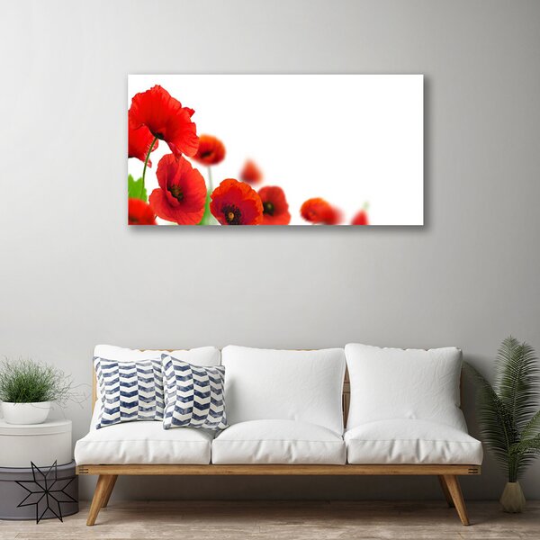 Obraz na plátne Maky rastlina príroda 100x50 cm
