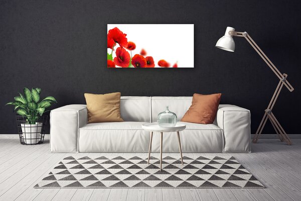 Obraz na plátne Maky rastlina príroda 100x50 cm