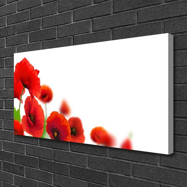 Obraz na plátne Maky rastlina príroda 100x50 cm