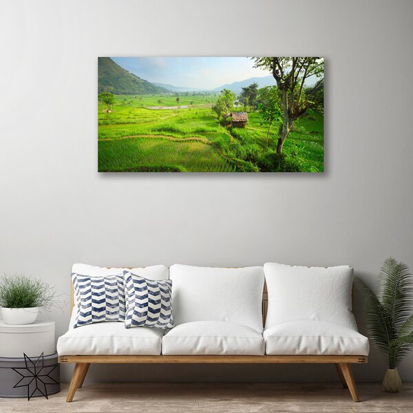 Obraz na plátne Lúka príroda 100x50 cm