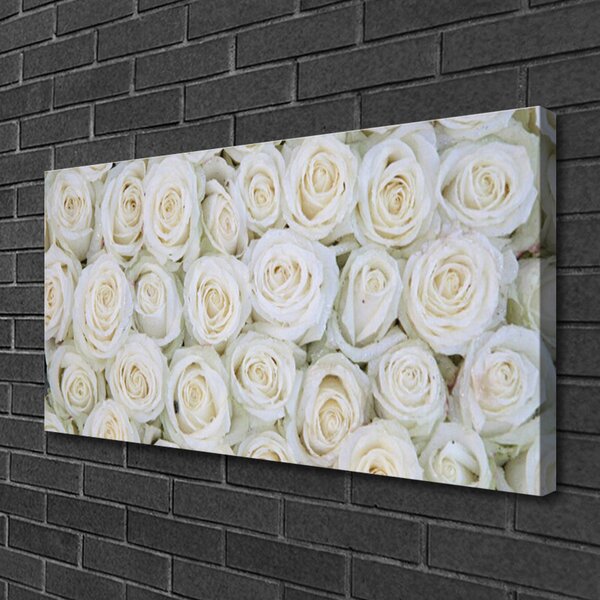Obraz na plátne Ruže kvety rastlina 100x50 cm