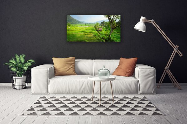 Obraz na plátne Lúka príroda 100x50 cm