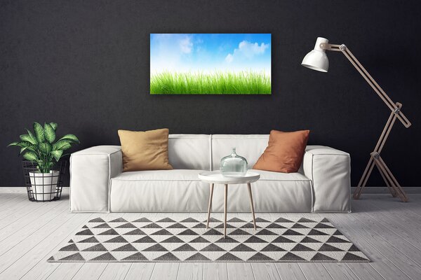 Obraz na plátne Tráva príroda rastlina 100x50 cm