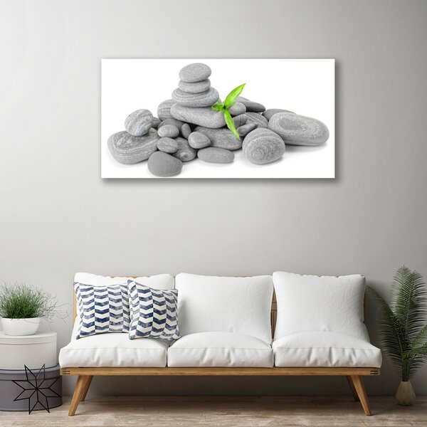 Obraz na plátne Kamene umenie 100x50 cm