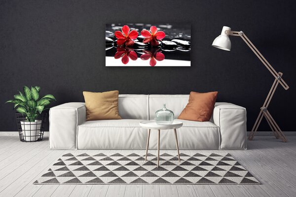 Obraz na plátne Kvet kamene rastlina 100x50 cm