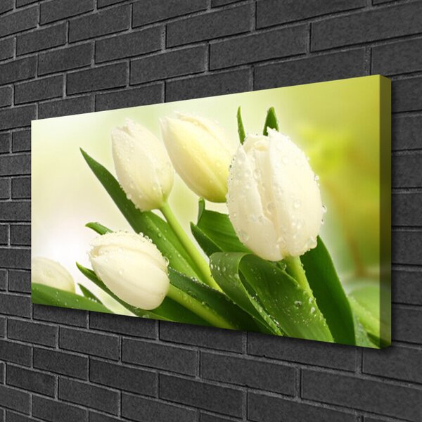 Obraz na plátne Tulipány kvety rastlina 100x50 cm