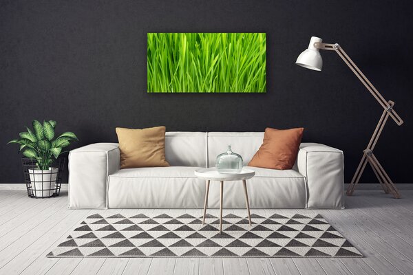 Obraz na plátne Tráva rastlina príroda 100x50 cm