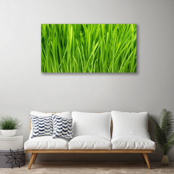 Obraz na plátne Tráva rastlina príroda 100x50 cm