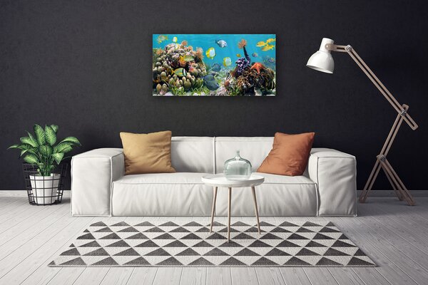 Obraz na plátne Koralový útes príroda 100x50 cm