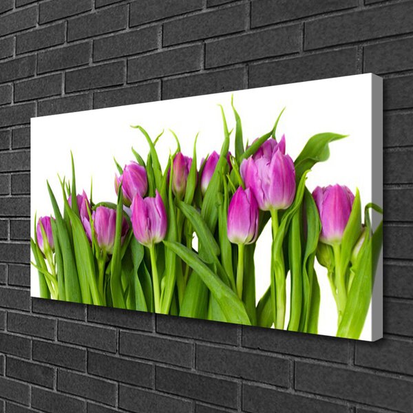 Obraz na plátne Tulipány kvety rastlina 100x50 cm