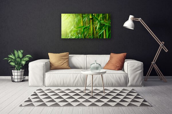 Obraz na plátne Bambus stonky rastlina 100x50 cm