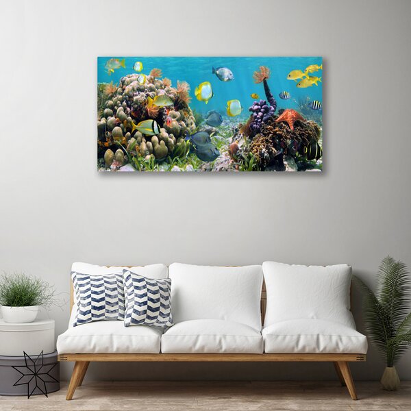 Obraz na plátne Koralový útes príroda 100x50 cm