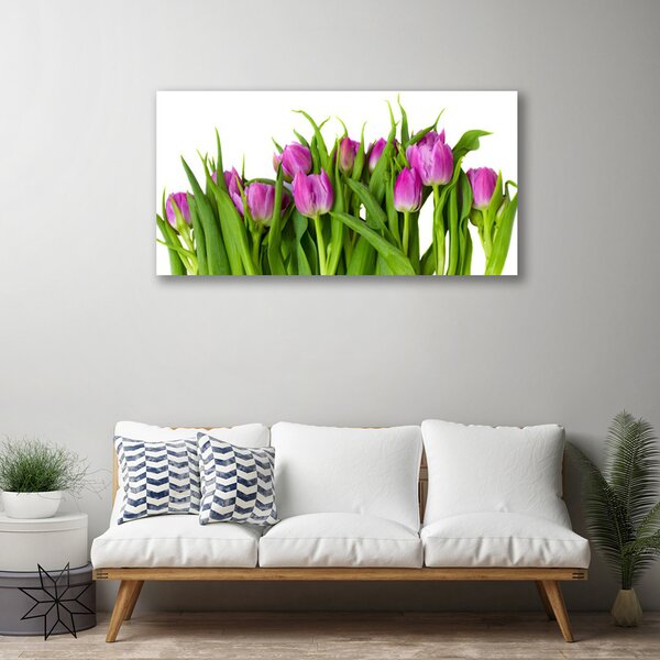 Obraz na plátne Tulipány kvety rastlina 100x50 cm