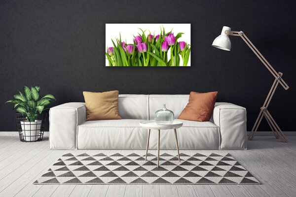Obraz na plátne Tulipány kvety rastlina 100x50 cm