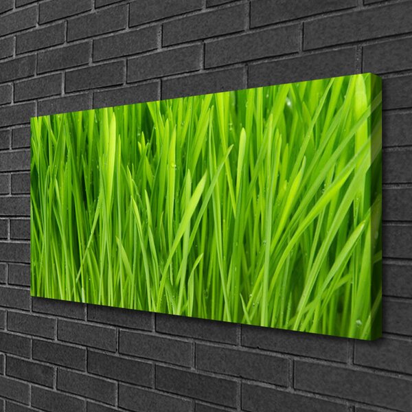 Obraz na plátne Tráva rastlina príroda 100x50 cm