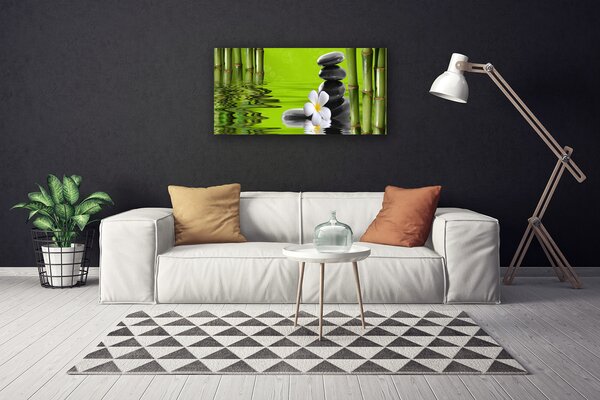 Obraz na plátne Bambus kamene rastlina 100x50 cm