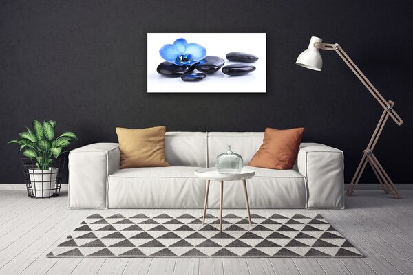 Obraz na plátne Kvet kamene umenie 100x50 cm