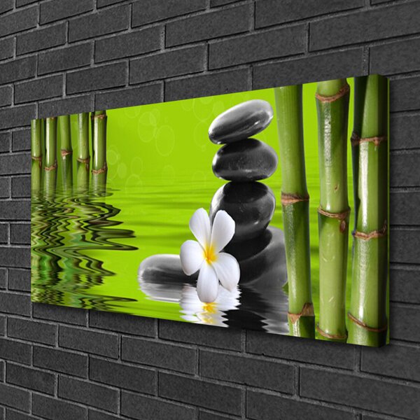 Obraz na plátne Bambus kamene rastlina 100x50 cm
