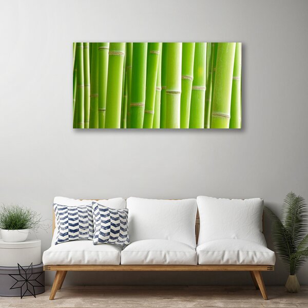Obraz na plátne Bambus stonka kvet rastlina 100x50 cm