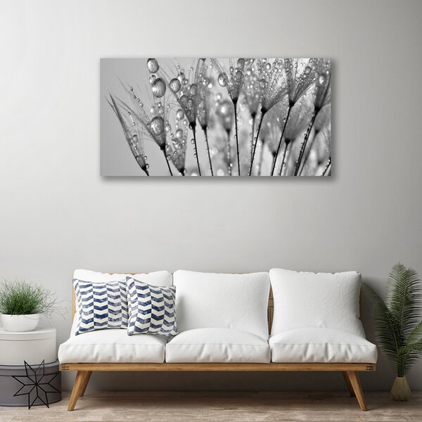 Obraz na plátne Púpava rastlina 100x50 cm
